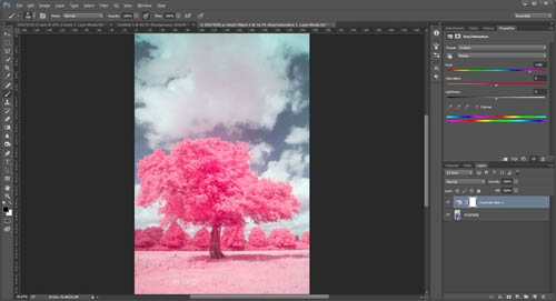 Image with colours changed to give pink foliage just by using a hue adjustment