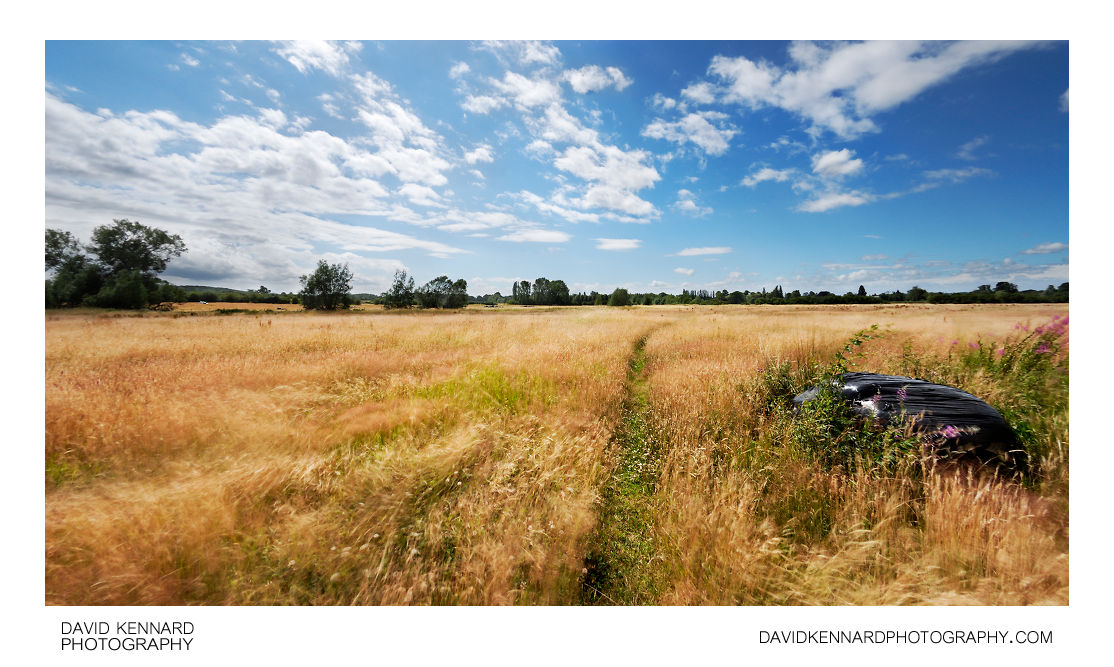 Hay field between Lubenham and Harborough