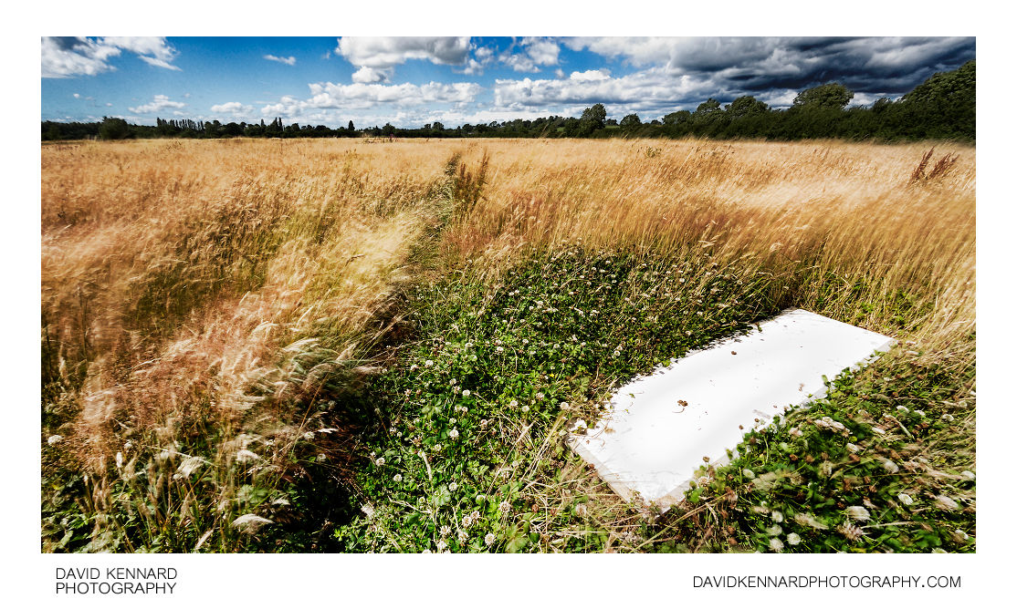 Hay field between Lubenham and Harborough