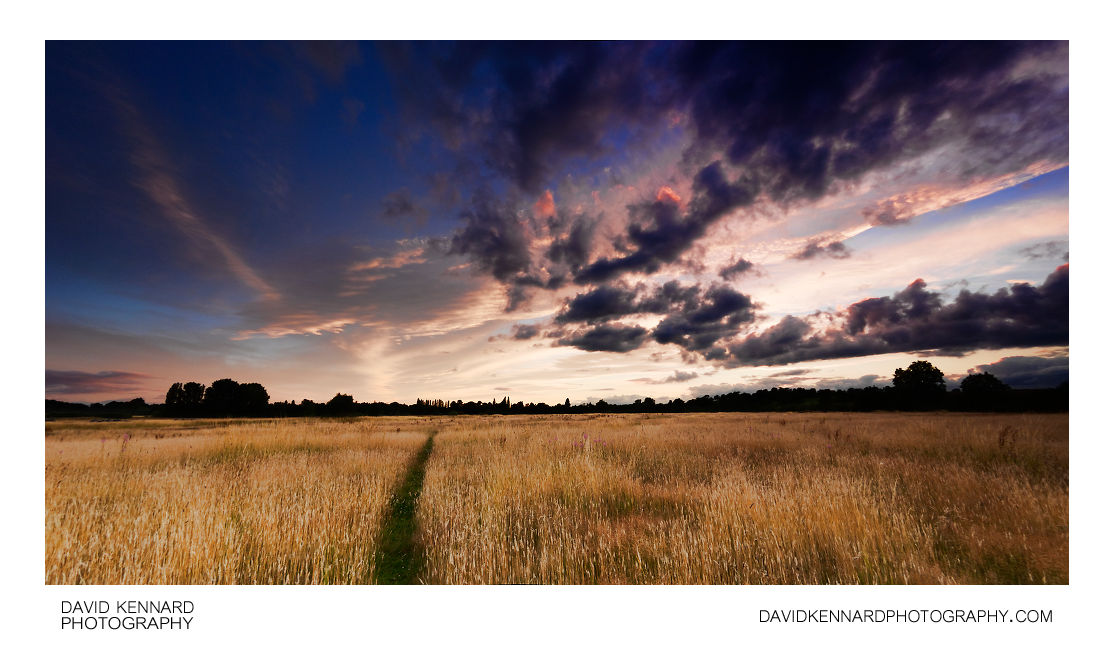 Harborough Hay field at twilight