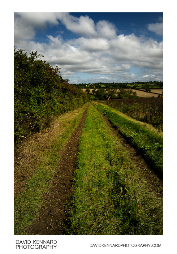 Track and Pea field