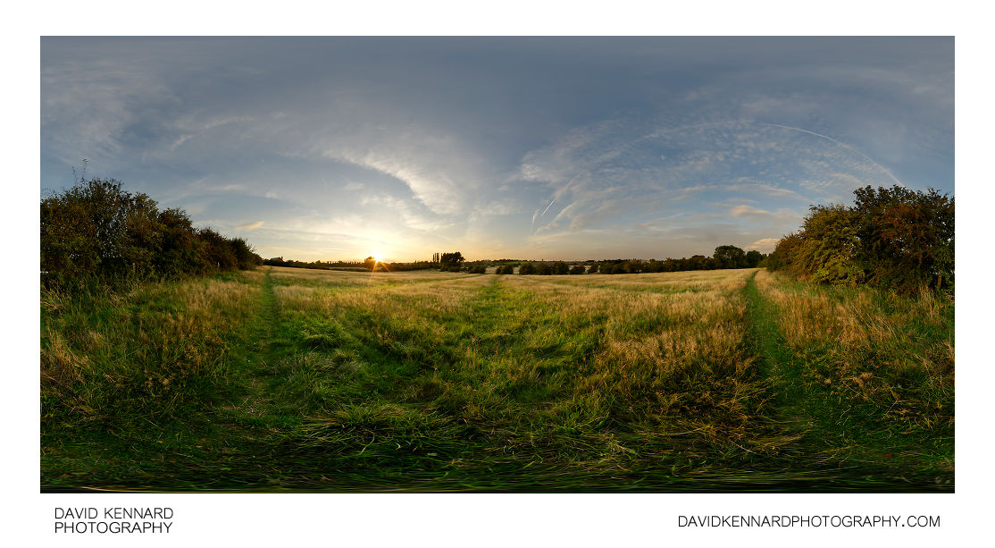 Ridge and furrow field at sunset