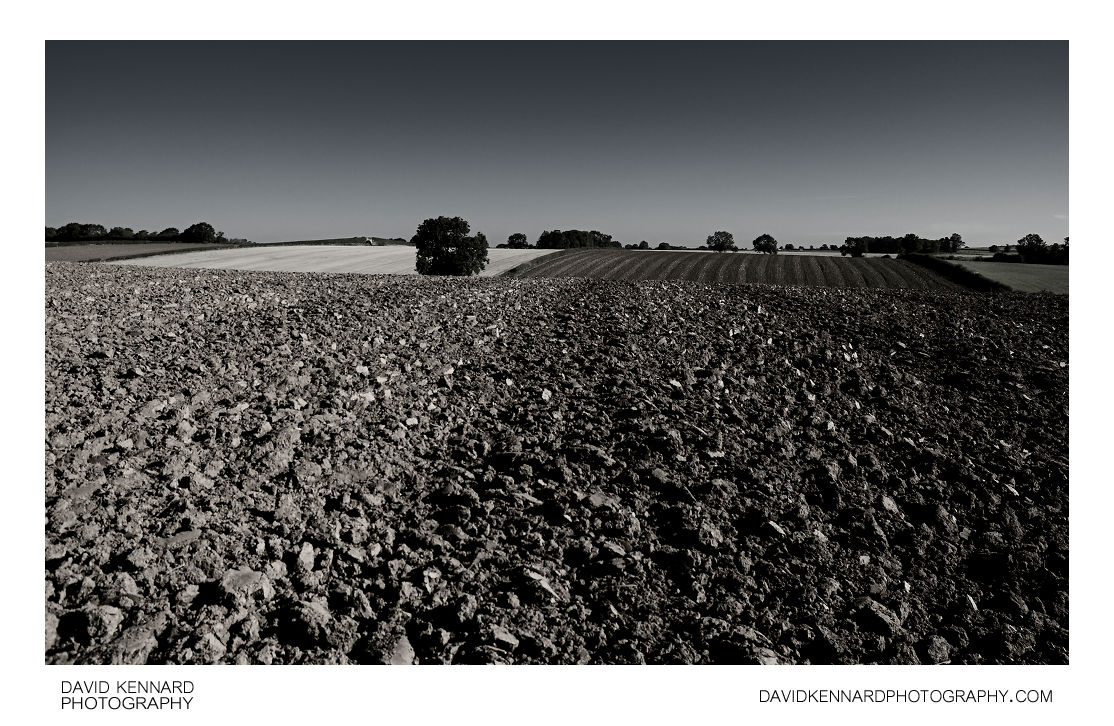 Ploughed field near Scalford