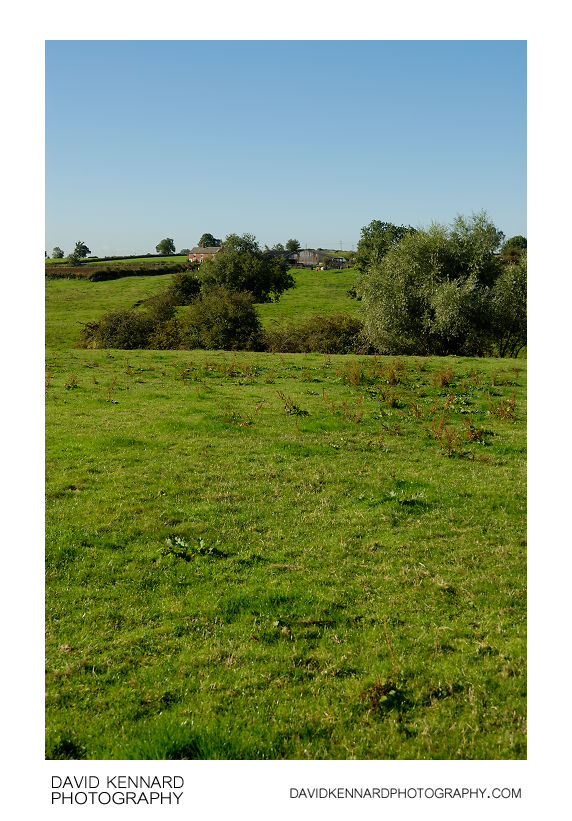 Green fields near Scalford