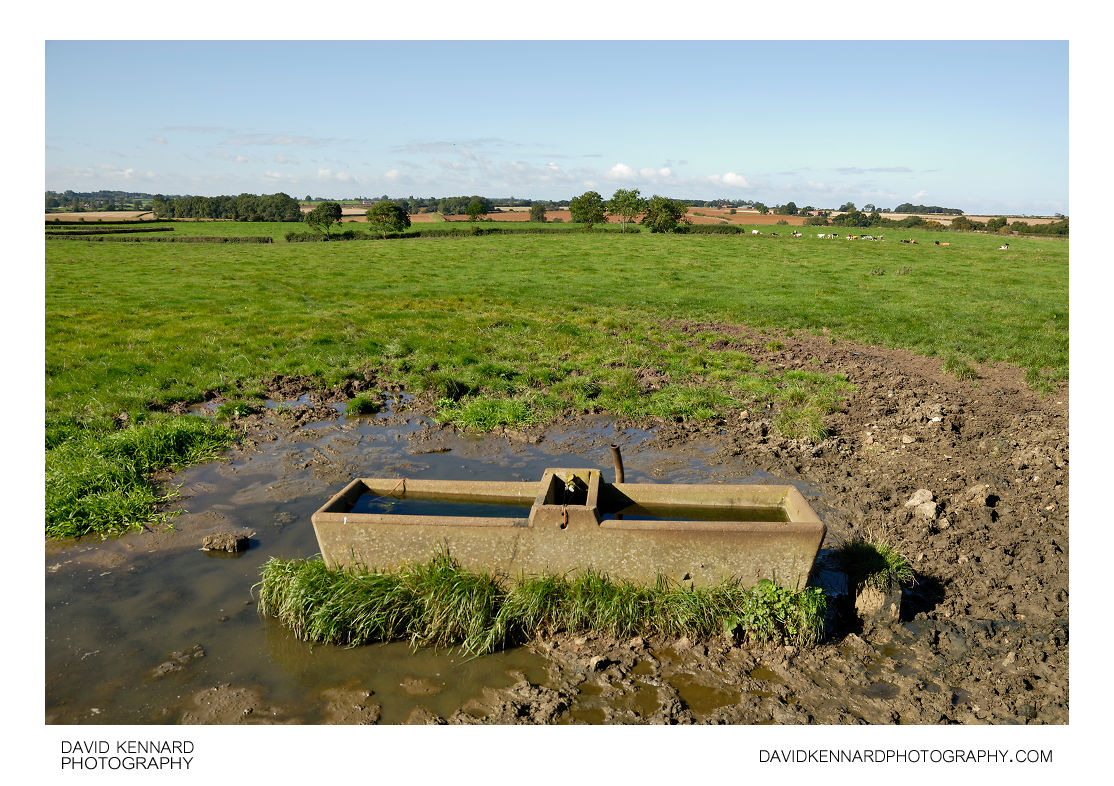Water trough in muddy field
