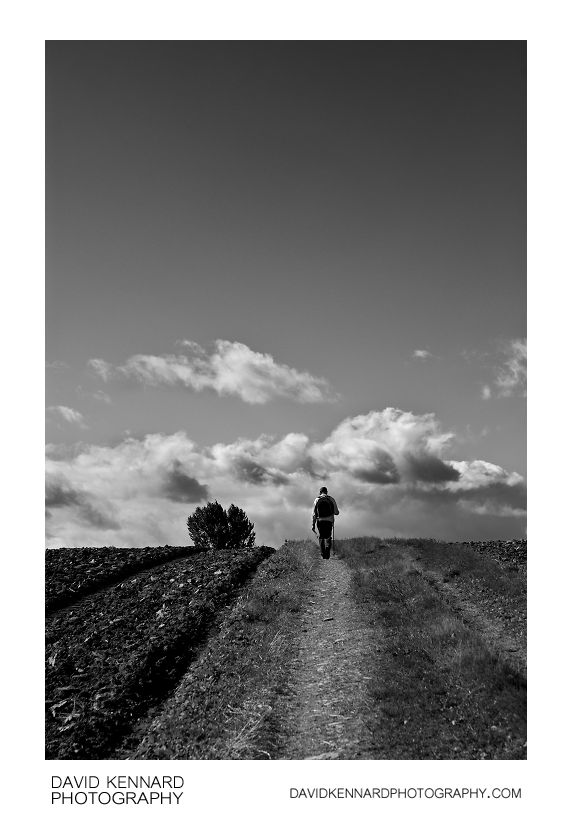 Track through ploughed field, Scalford