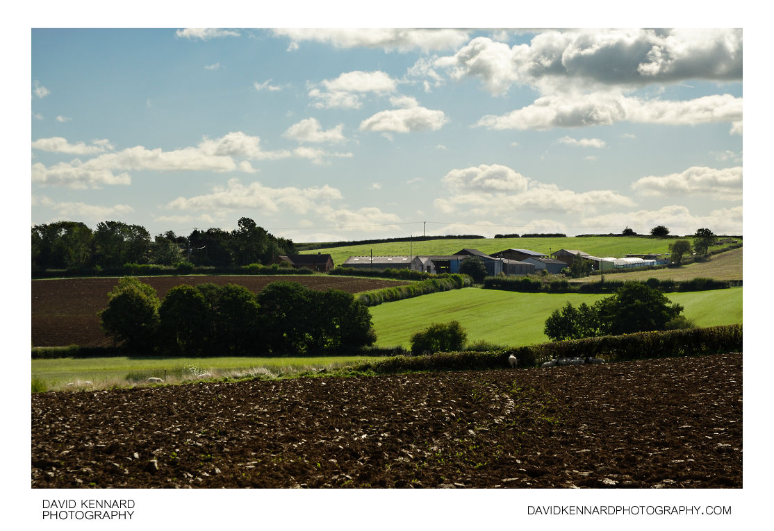 Fields and farm, Scalford