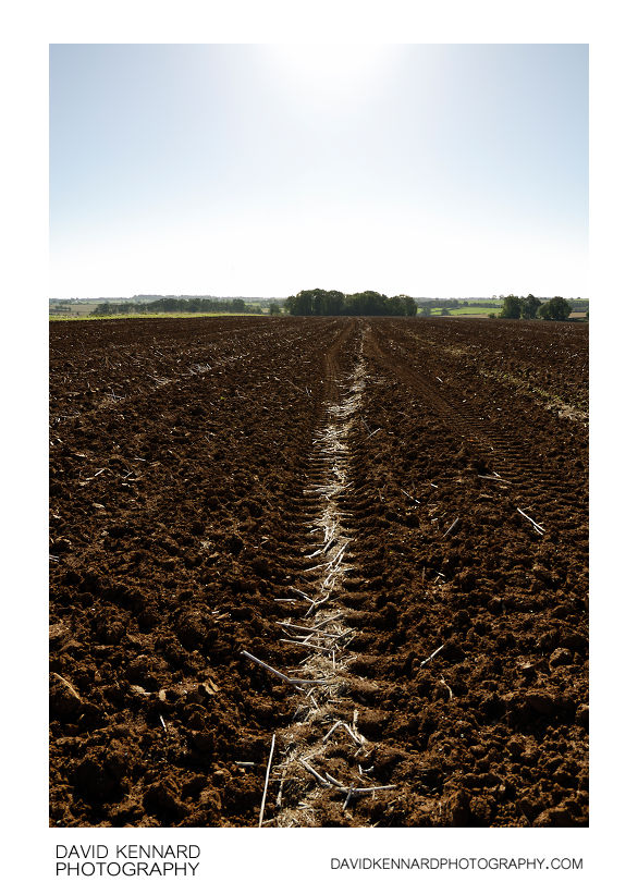 Ploughed field near Scalford