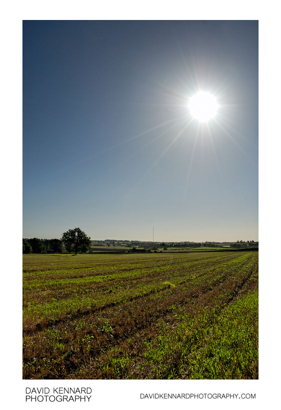 Sun and field, Scalford