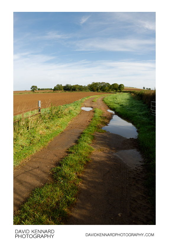 Farm track and fields, Harborough