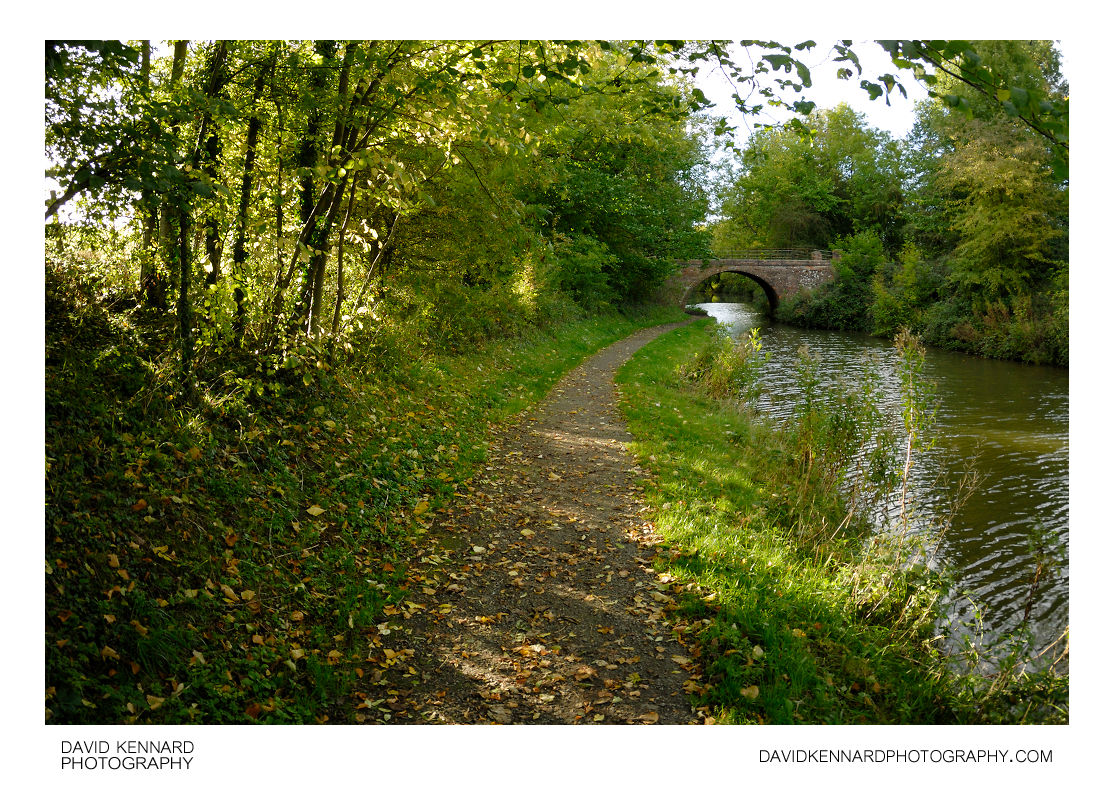 Grand Union Canal Harborough arm in autumn, near Market Harborough in Leicestershire, England.