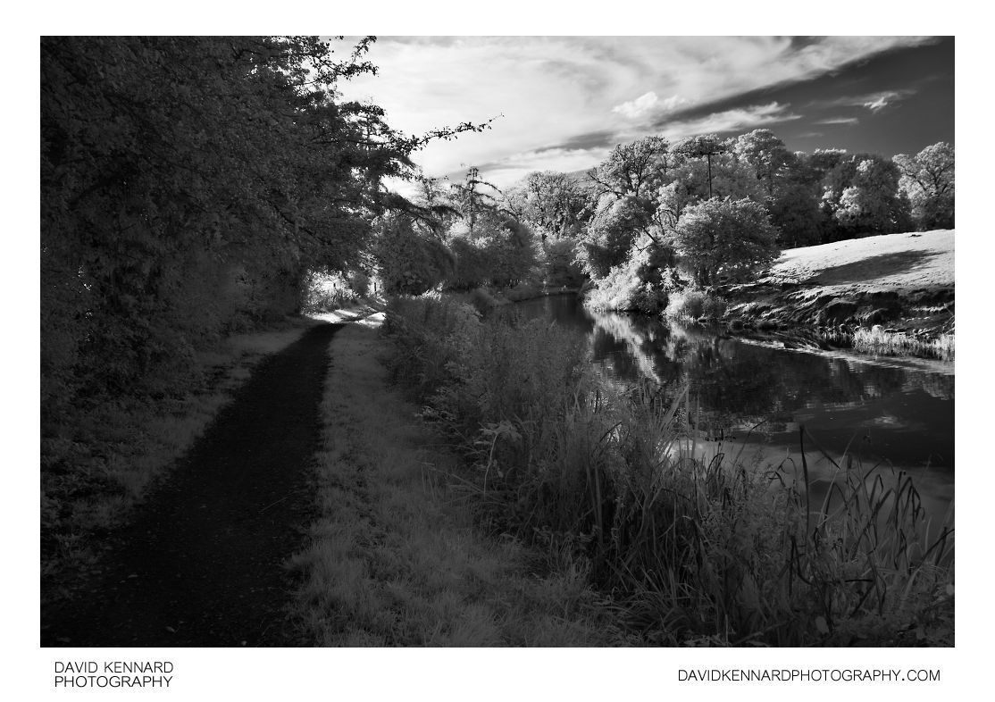 Grand Union Canal Harborough Arm in Infrared
