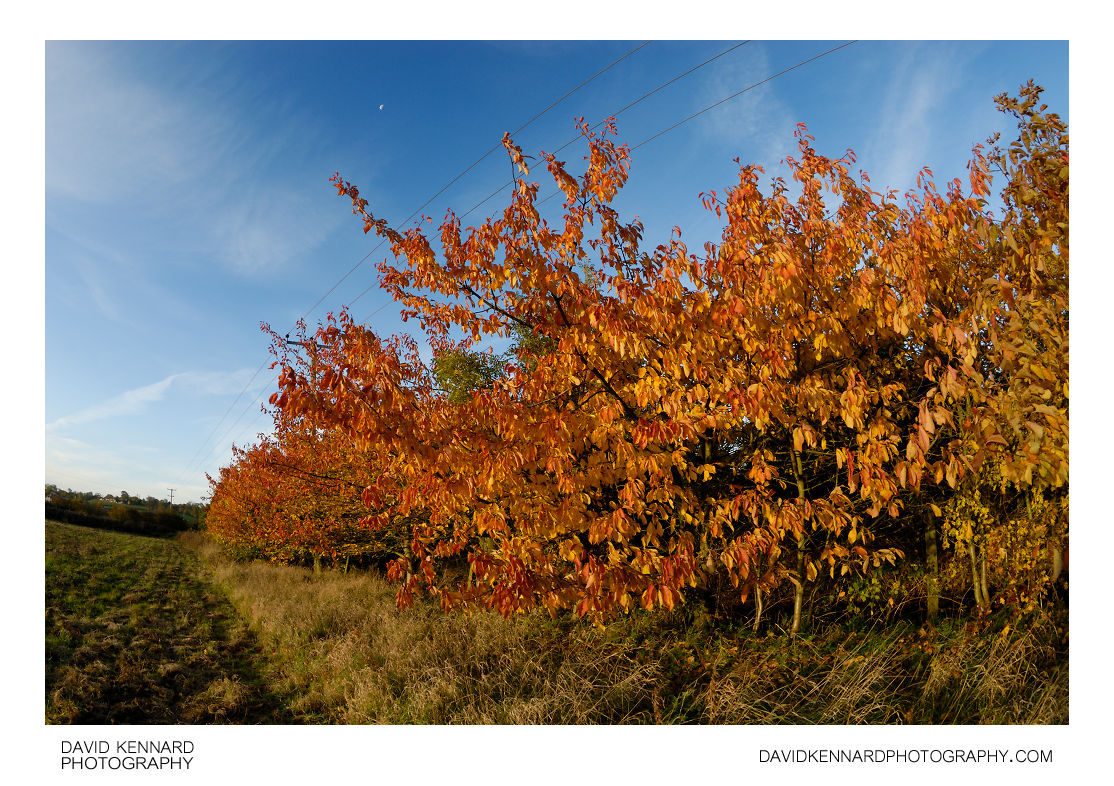 Farndon Fields in Autumn