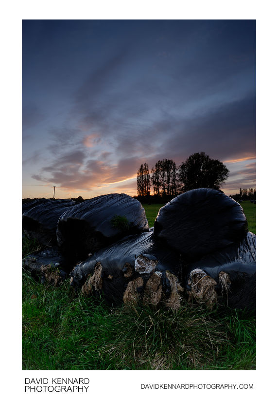 Black plastic wrapped silage bales at twilight
