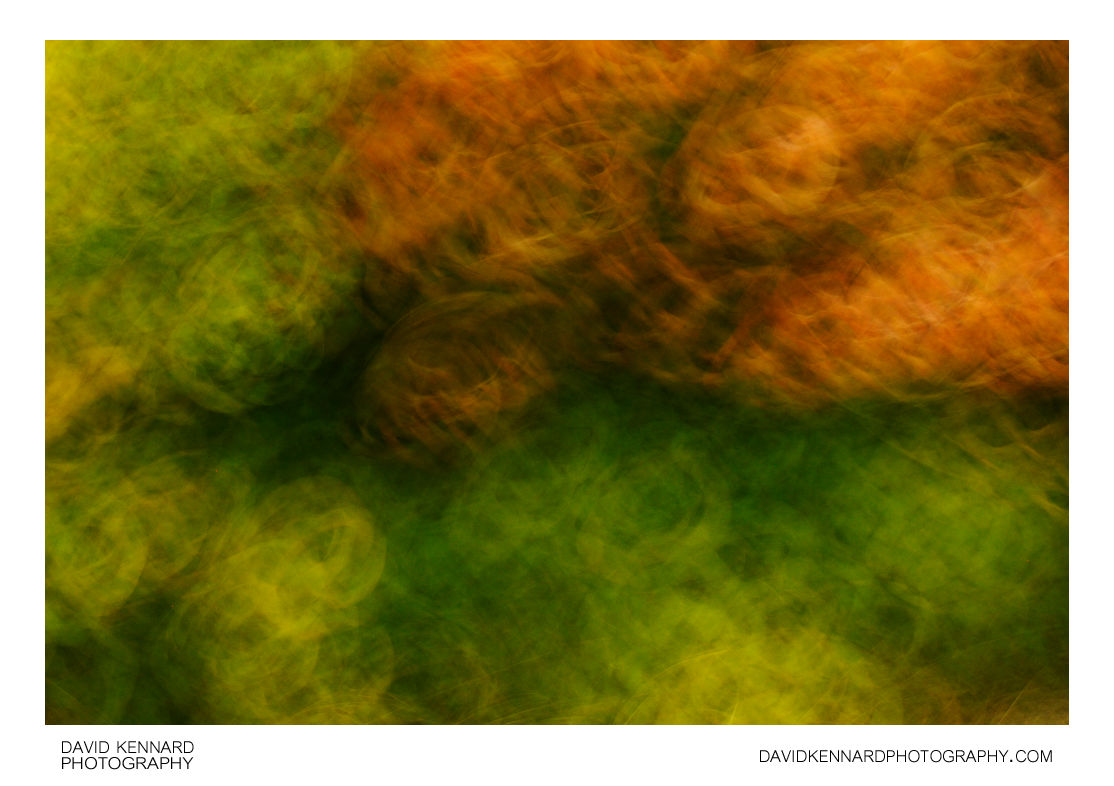 Blurred leaves abstract