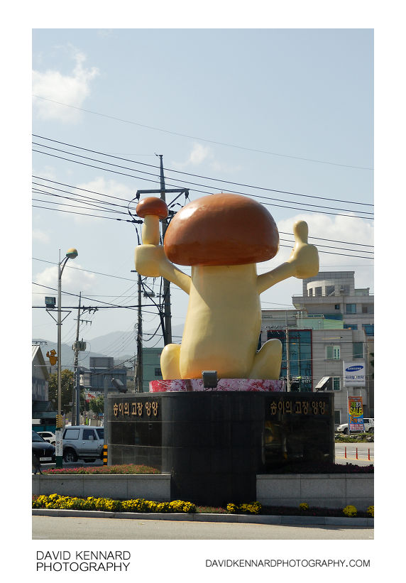 Yangyang Mushroom Mascot
