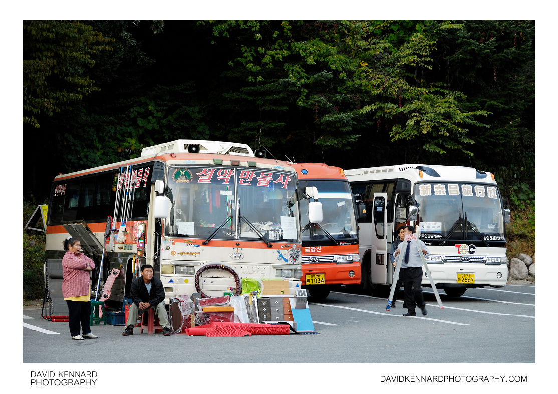 Sorak tour buses
