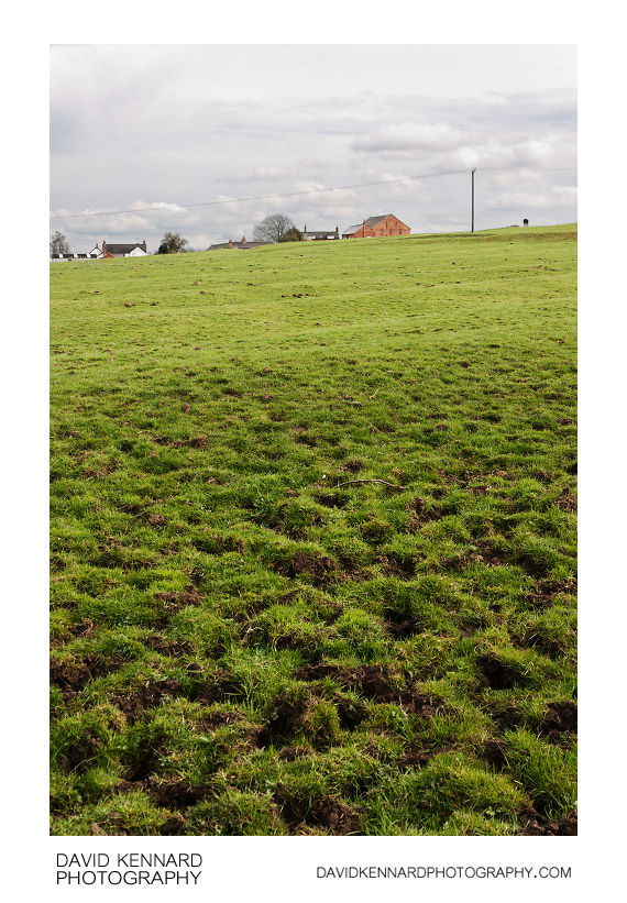 Cattle churned ridge and furrow field, Clipston