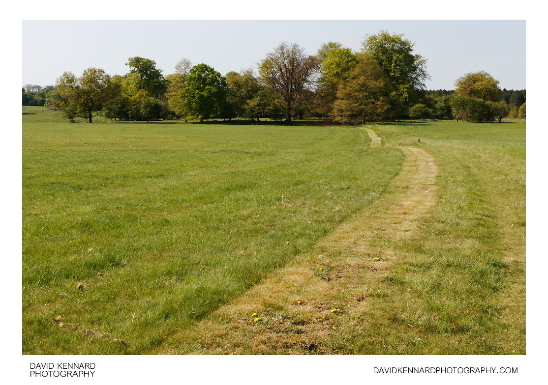 Grass path, Laxton