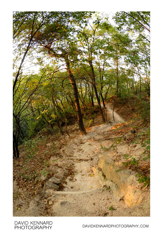 Path down Buramsan