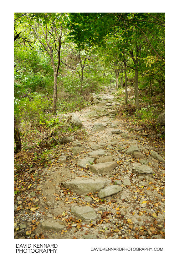 Path up Buramsan