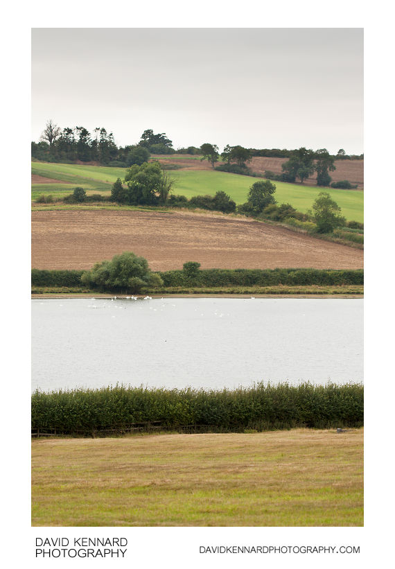 Fields and Eyebrook Reservoir