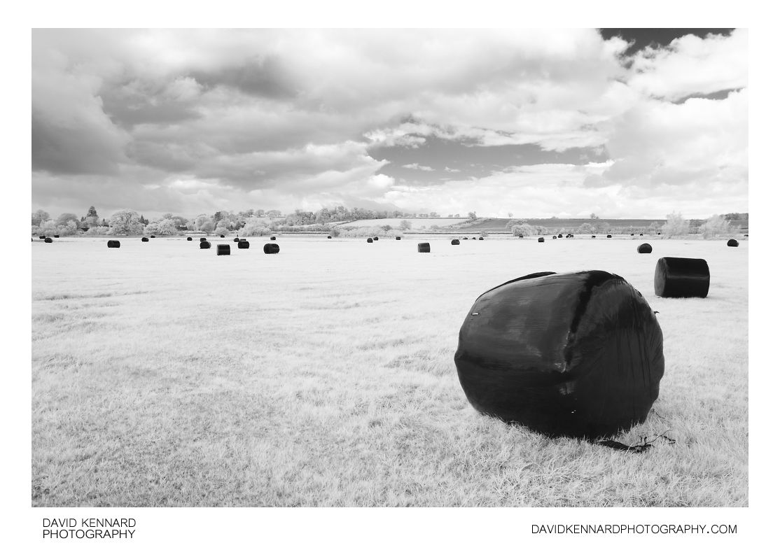 Black plastic wrapped haybales in infrared