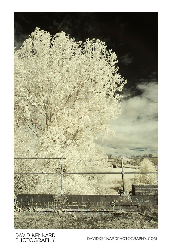 View from old railway bridge (Infrared)