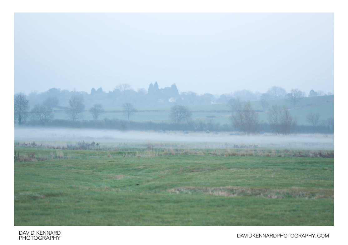 Small bank of mist in field