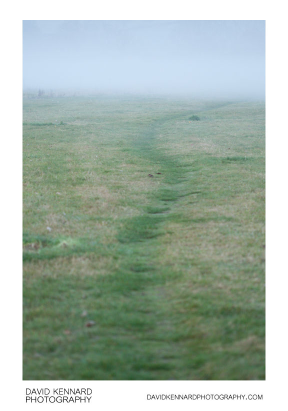 Path into the mist