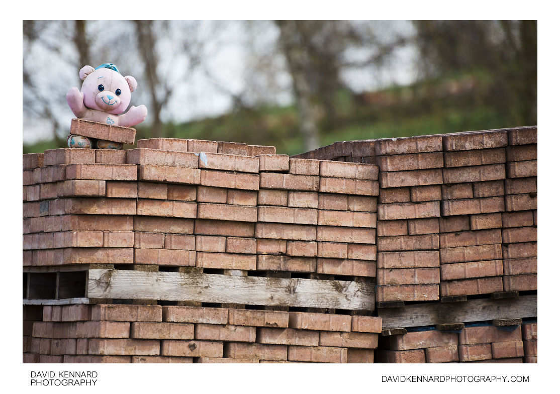 Stuffed toy on pile of bricks