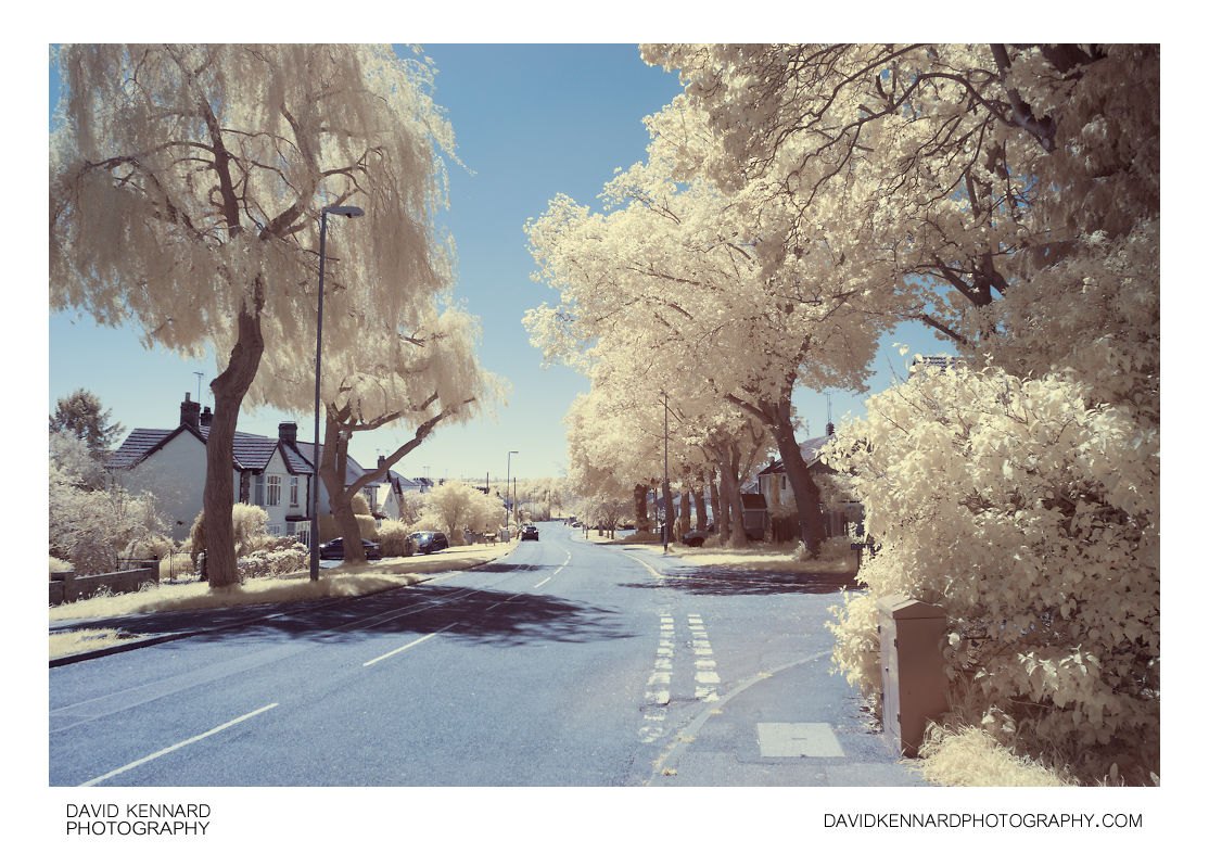Great Bowden Road false colour infrared