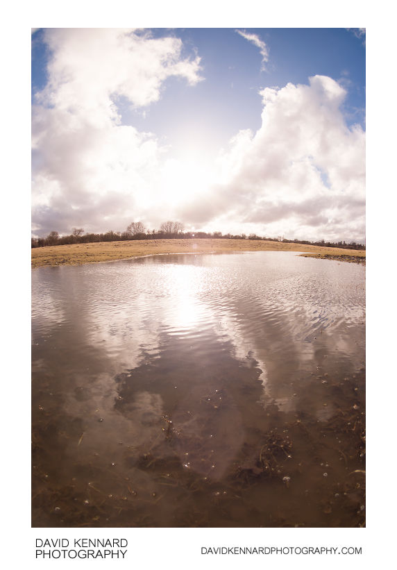 Sunshine over large puddle in field