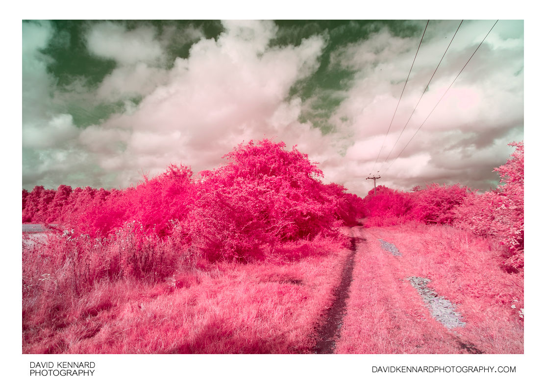 Old Railway line in pink