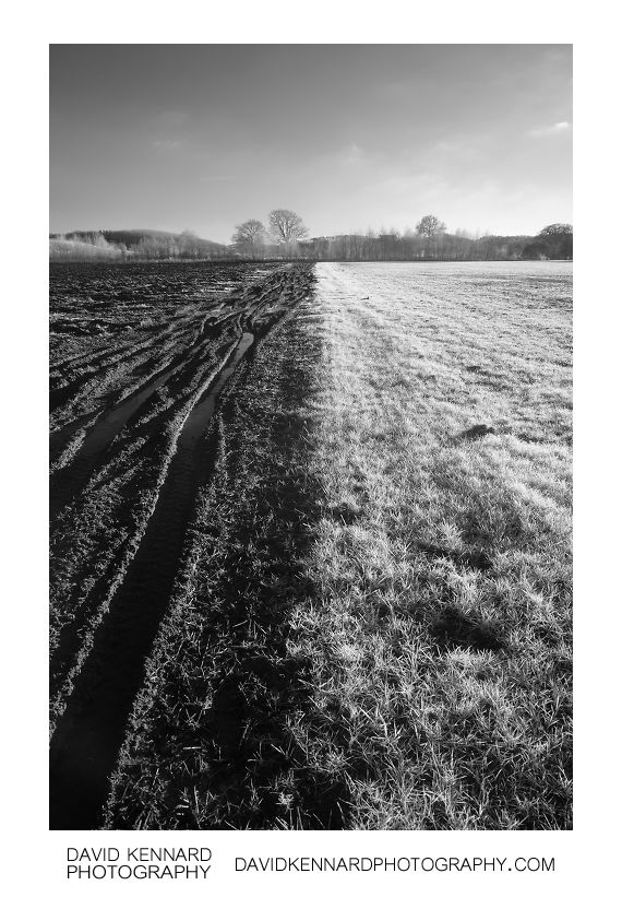 Ploughed and grass fields