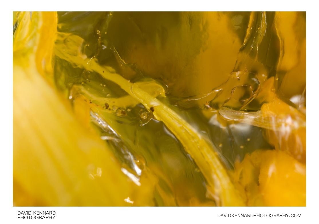 French Marigold Slime abstract