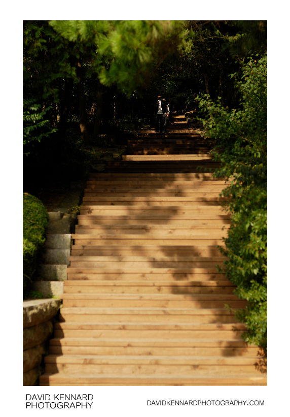 Wooden steps up Namsan