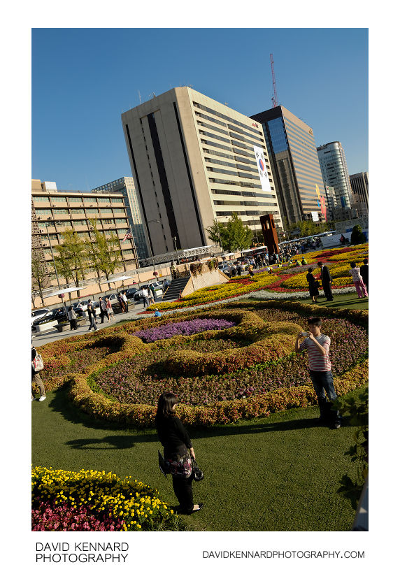 Gwanghwamun Plaza Flower Carpet