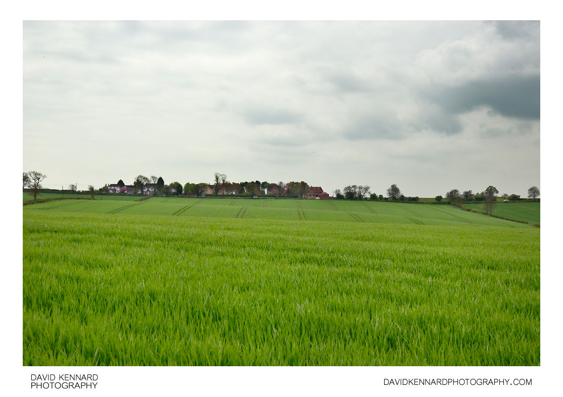 Green fields and houses