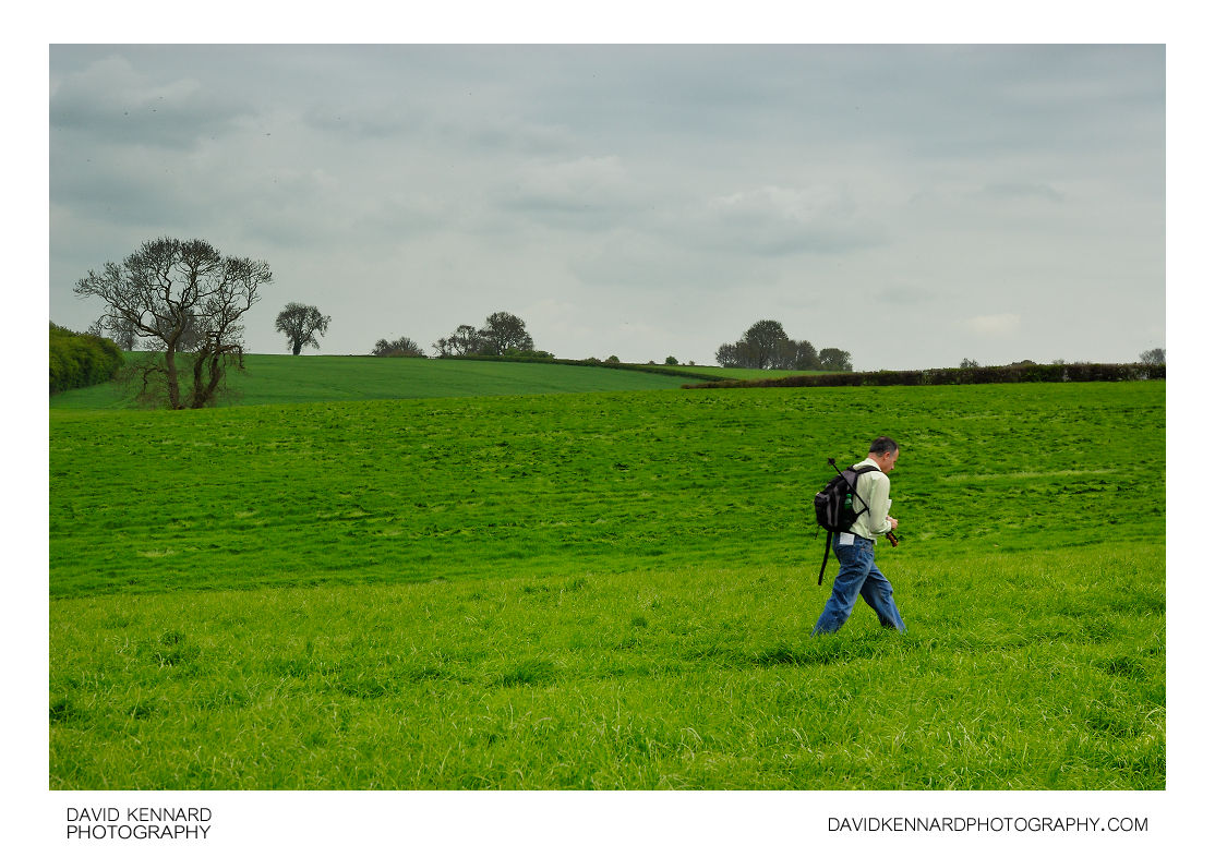 Walking across green hay field