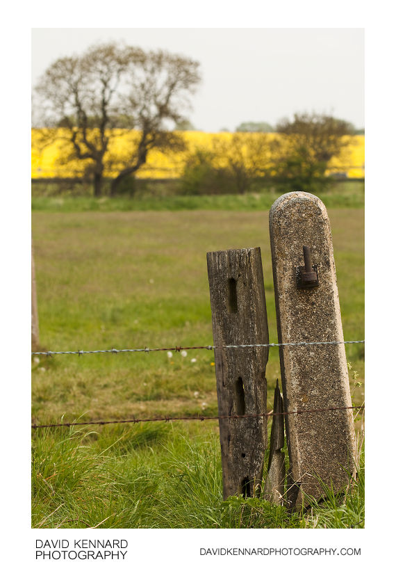 Old gate post