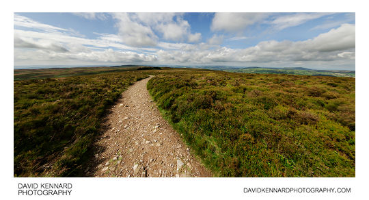 Path and heather on the Long Mynd, Shropshire