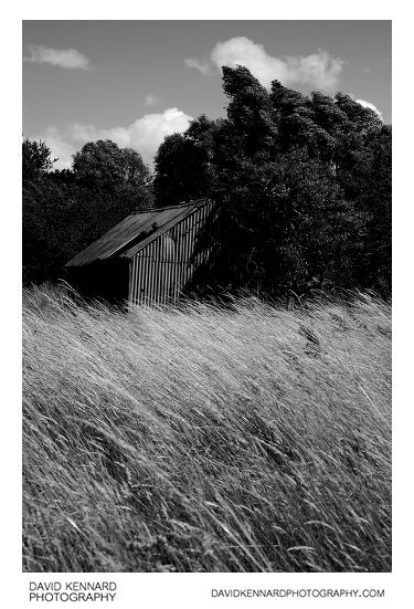 Old corrugated steel shack in a hay field