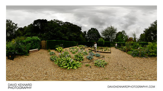 Hosta and Penstemon Beds, Barnsdale Gardens