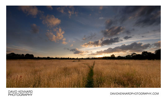 Sunset over Harborough hay field