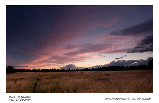 Harborough Hay field at twilight