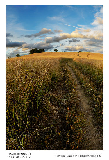 Path over Lubenham hill near sunset