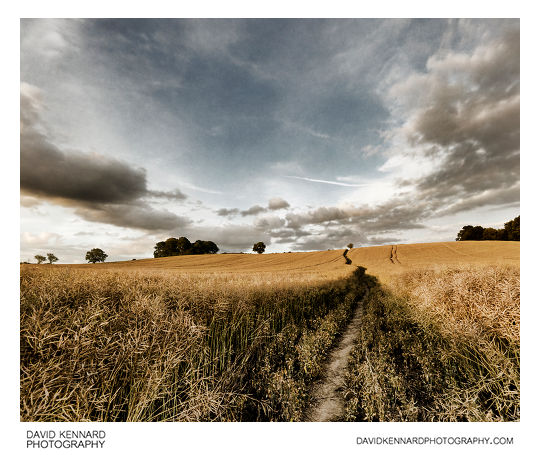 Path over Lubenham hill