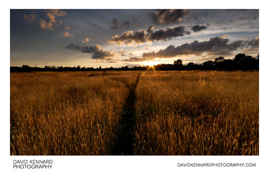 Sunset over Harborough hay field