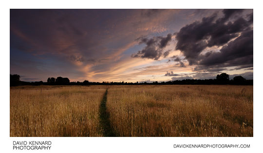 Harborough Hay field at twilight